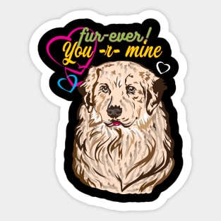 My Cool Labrador Retriever Design Sticker